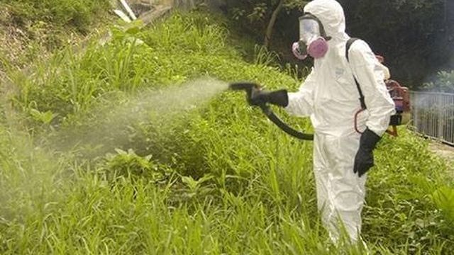 Инструкция по применению инсектицида «Арриво» против комаров и других насекомых
