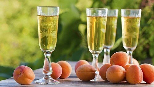 Вино из абрикосов