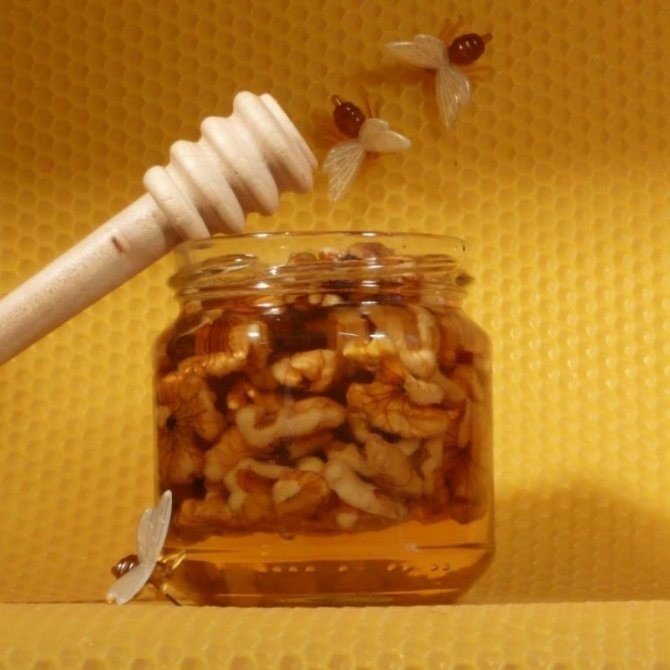 Грецкие орехи с медом для мужчин
