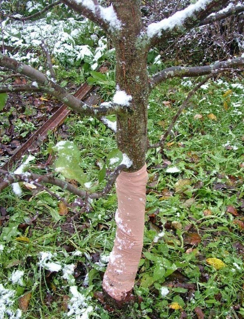 Декоративная защита ствола дерева