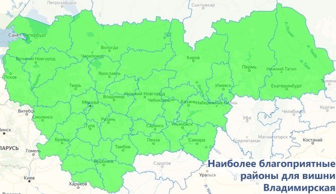 Карта владимирской области с районами