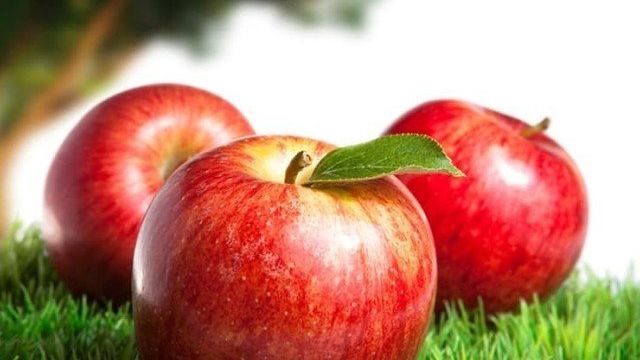 Характеристики яблони сорта «Осеннее полосатое