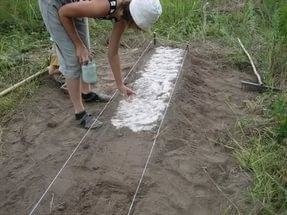 Известкование кислых почв