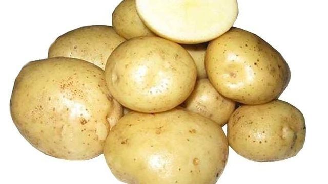 Картофель Вектор: подробное описание сорта, вкусовые качества картошки, фото и отзывы тех, кто её выращивал