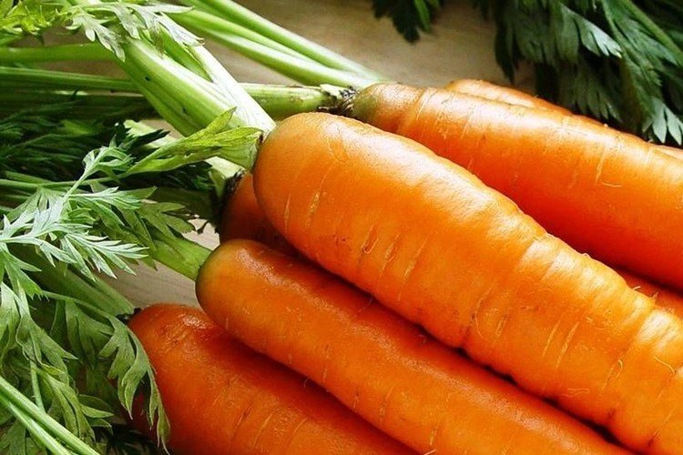 Сорт моркови женское счастье