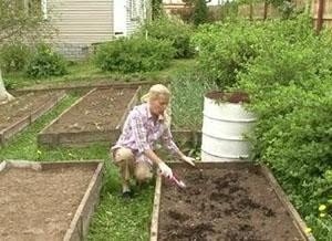 Ольга воронова сад и огород