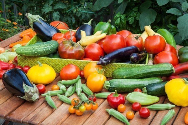 Овощи на огороде