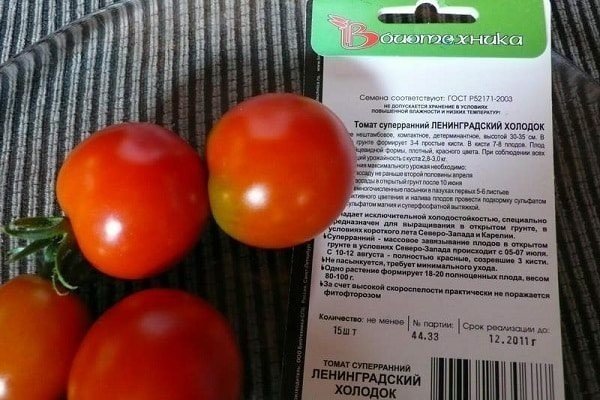Сорт помидор ленинградский холодок