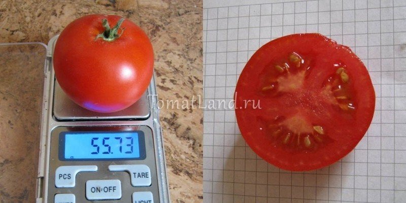 Турбореактивный сорт томатов