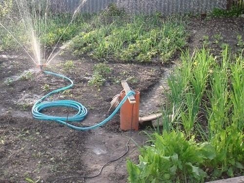 Скважина для полива огорода