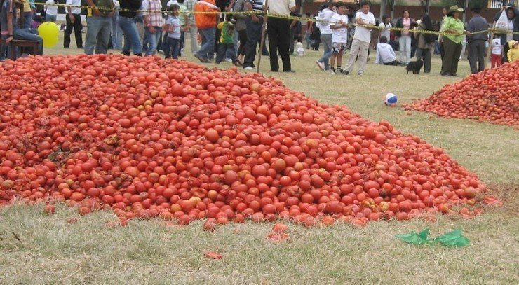 Фестиваль ла томатина