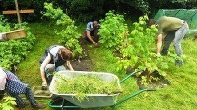 Как быстро избавиться от сорняков в огороде и уничтожить траву