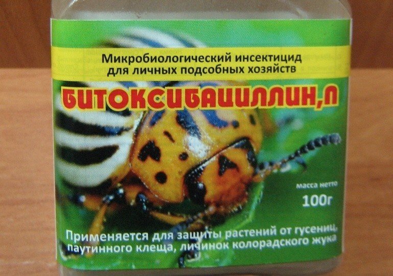 Новый препарат от колорадского жука
