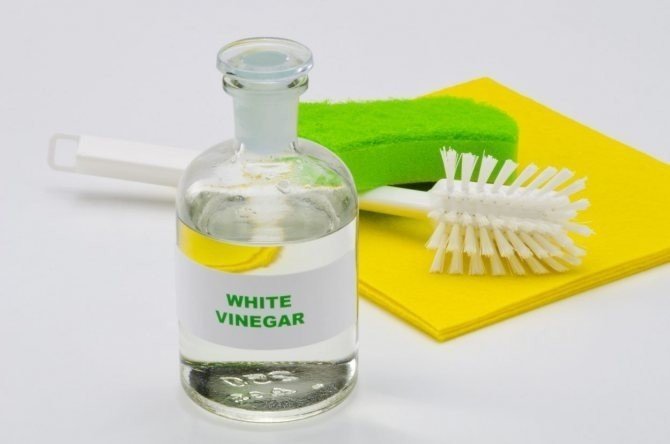 White vinegar spray