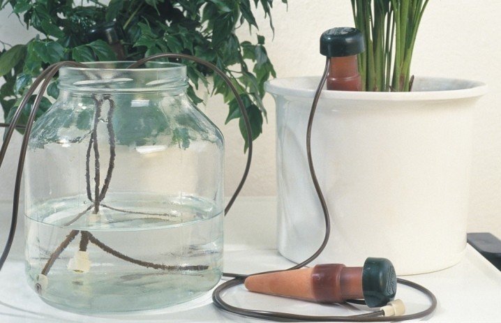 Система капельного полива для комнатных растений