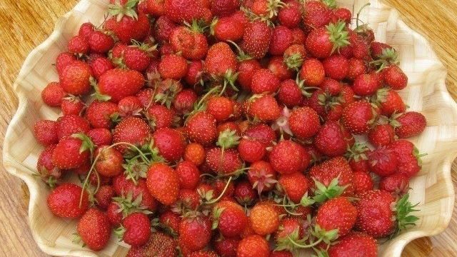 7 ошибок дачника, из-за которых ягоды клубники мельчают