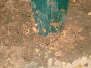 Перекапывание почвы в чернобыле