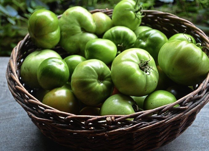 Двойной помидор зелёный