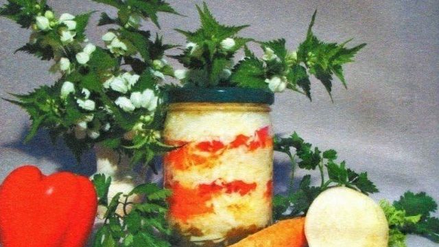 Заготовка из редьки на зиму – вкусные рецепты салатов и засолок