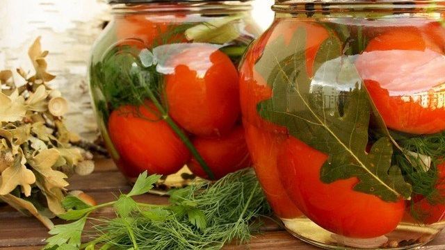 Быстрые малосольные помидоры: 7 оригинальных рецептов любимой закуски