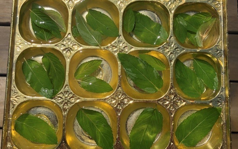 Блюда с листьями базилика