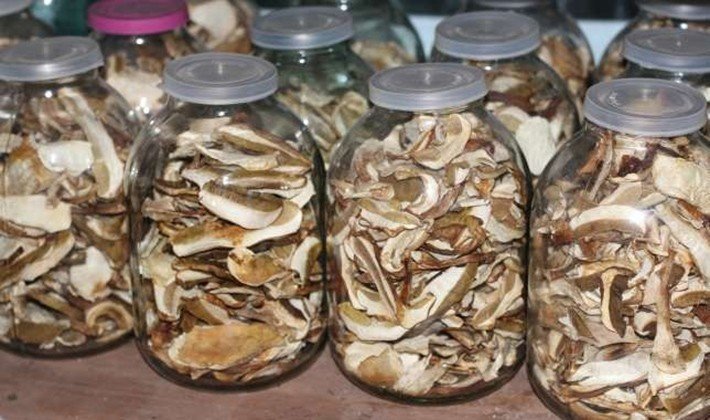 Сушеные белые грибы в банке