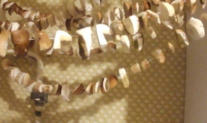 Сушка грибов на нитке в квартире