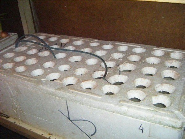Маты плиты для выращивания лука