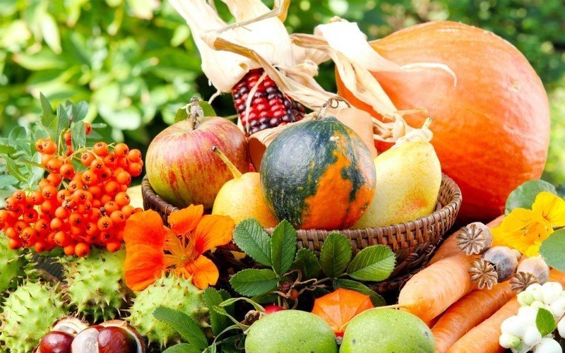 Натюрморт из свежих фруктов и овощей